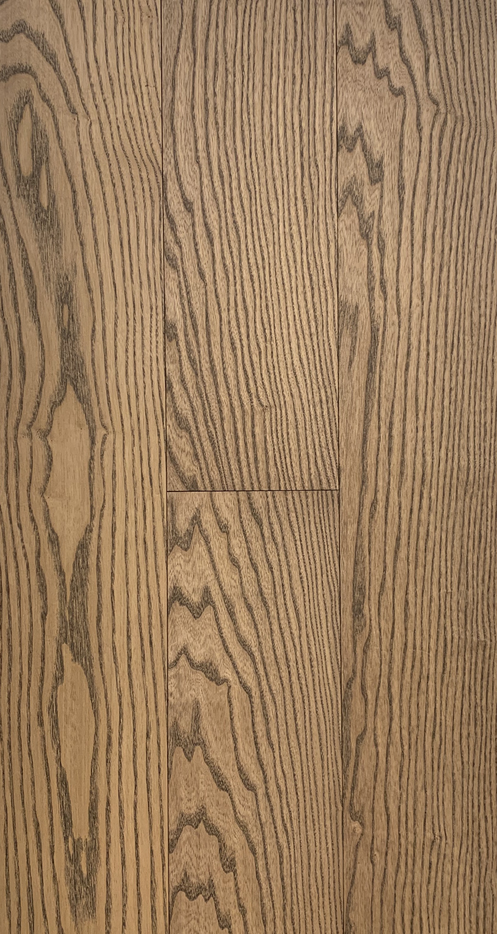 Инженерная доска Cora Wood Ash Panga natur 1600-2400×155×16